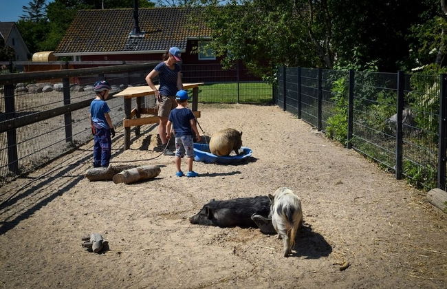 Ferienhof Nina Weilandt - Foto 80
