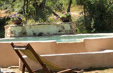 Las Casas del Palomar I & II - Photo 52