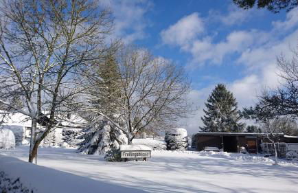 Ferienhaus Freilingen 74 - Photo 31