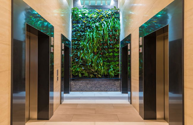 Mantra On Mary - Photo 41