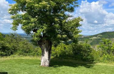 Casale IL SAMBUCO sui colli bolognesi - Foto 1