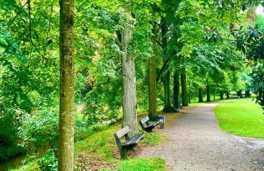 -Am Pfühlpark- Ferienwohnung - Foto 45