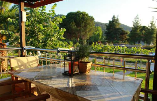 Katina's House - Photo 25