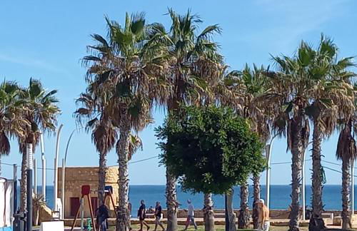 Bonito Apartamento 150 m de la playa La Mata - Foto 27