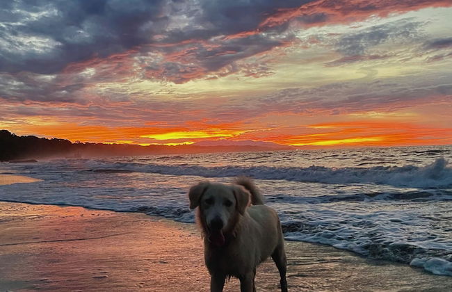 Casa Yamann - Foto 34