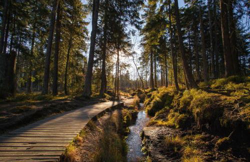 Gästehaus Nietmann_ Ferienwohnung 6 - Photo 18