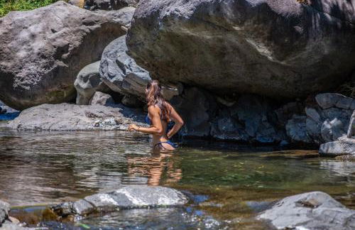 Coração da Madeira by Homie - Foto 80