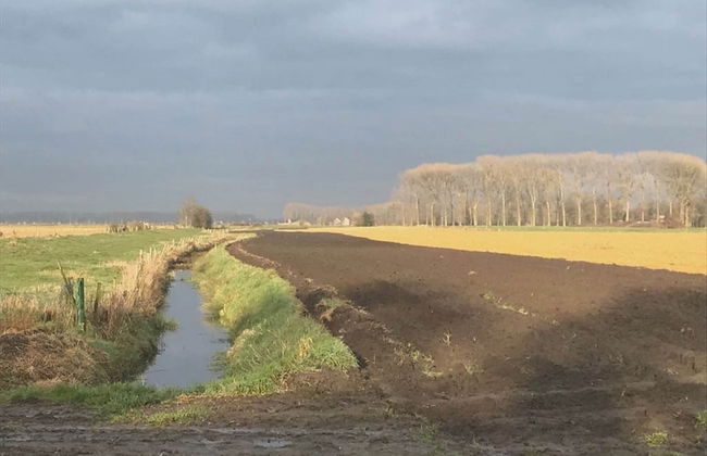 Holiday Home Near Bruges and Cadzand - Foto 39