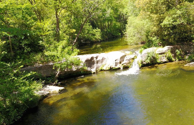 Domaine De Fraisse - Foto 21