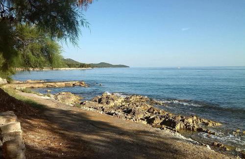 Apartment Brane - Photo 20