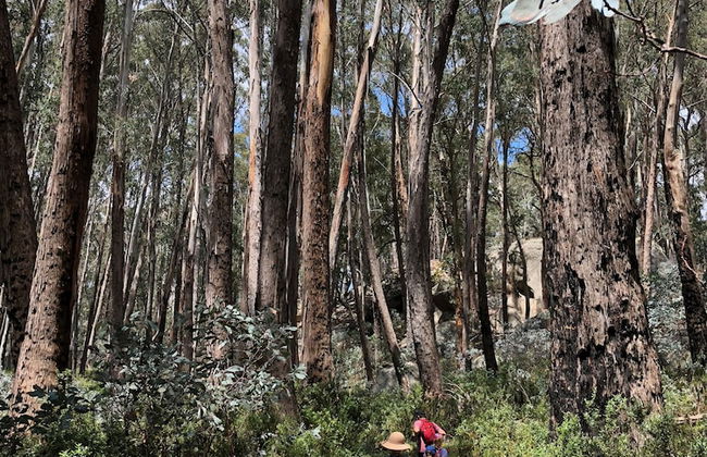 Bright Riverside Holiday Park - Foto 64