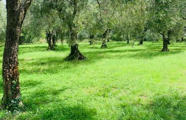 Casa Eva con piscina privata - Foto 20