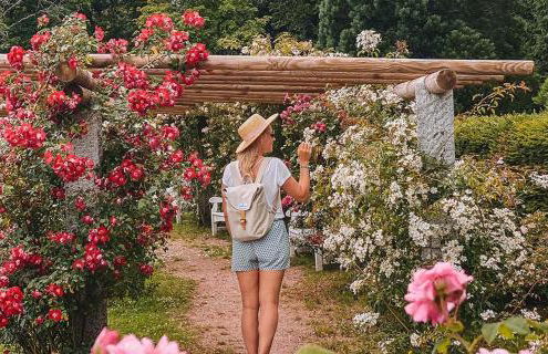 Holiday am Marktplatz Freudenstadt - Foto 24