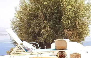 KOTSERIS LUXURY VILLAS, Jiovanni Villa & Angelina Villa - Foto 8