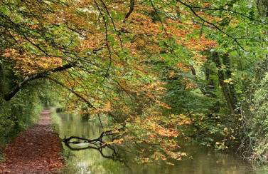 Carp's Rise Cottage - Foto 29