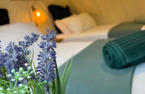 Muddy Paws Cottages - The Nook - Photo 26