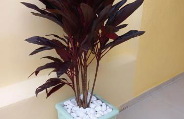 Chácara Helenna Colonetti - Foto 25