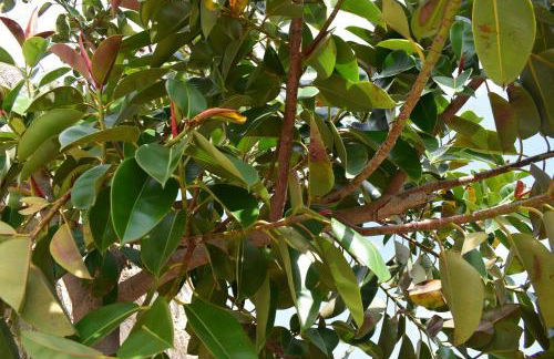 Anna's Stone House - Foto 57