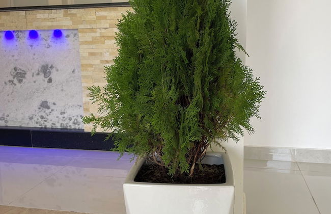 Season Inn Hotel Apartment by Duqm - Photo 6