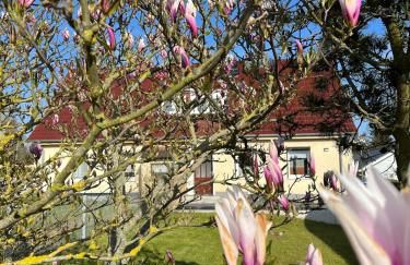 Ferienhaus Jastoria - Foto 41