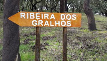 Casinha Laranja - Foto 3