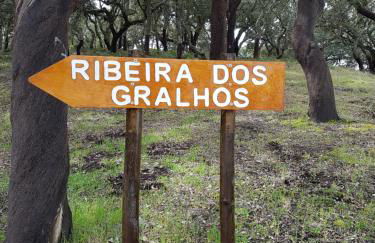 Casinha Laranja - Foto 3