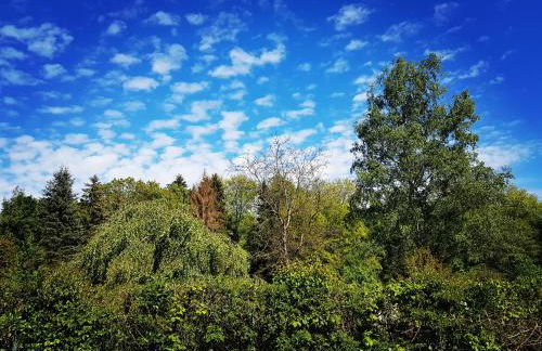 Chalet "Waldhauszeit" am See - Photo 14