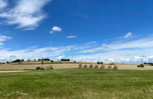 Hof Türke - Foto 44