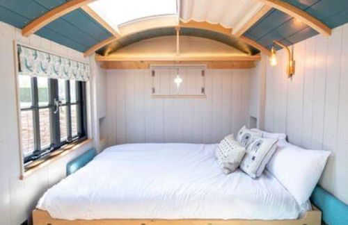 Wilksworth Caravan Park - Photo 57