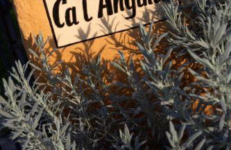 Turisme Rural Ca l,Anguila - Foto 14