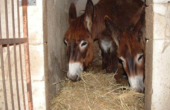 Hotel Casato Licitra - Foto 29