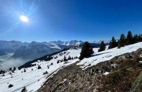 Chalet école des cimes - Foto 60