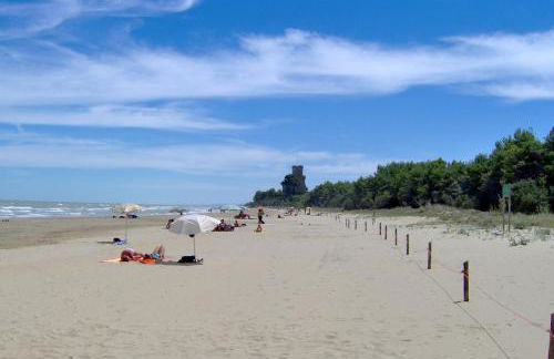 Pineto-Italy-Appartamento vista Mare e Pineta - Photo 28