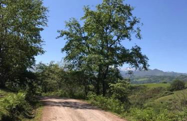 Posada El Pareón - Photo 45