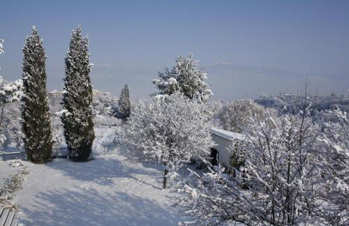 Le Storie di Bambu - Foto 14