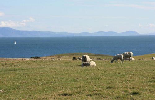 Plas Diwedd - Photo 16