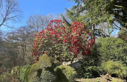 Enchanting Lodge, Cosy Hidden Gem with Woodburner - Foto 27