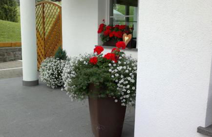 Apartments Antines - Photo 12