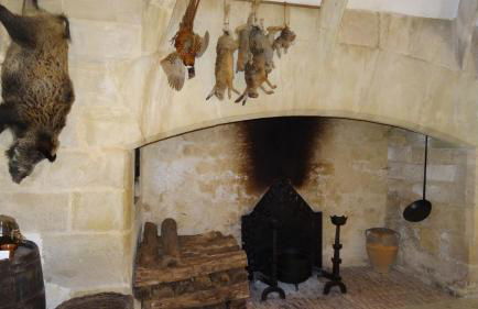 TERRE d'HISTOIRE - Baignade - Canoë - Piste cyclable à 100 m - Foto 32