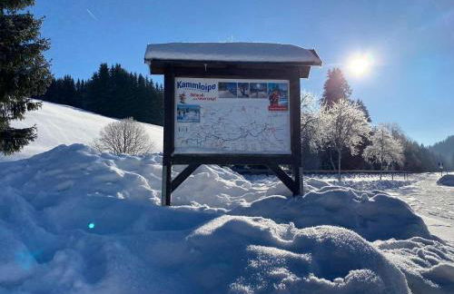 Ferienapartments Försterei Eibenstock - Foto 36