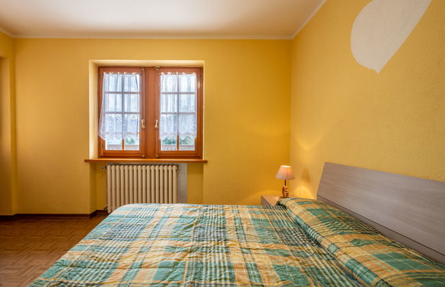 Hérisson - Photo 10