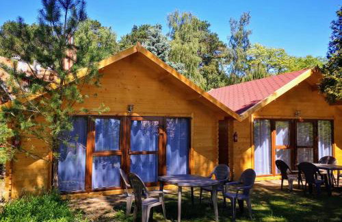 EKO DOMKI w Ośrodku Edukacji Ekologicznej w Krynicy Morskiej-Piaski - Foto 8