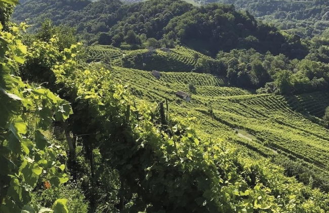 AGRITURISMO B&B CASA BORTOLIN - Foto 26