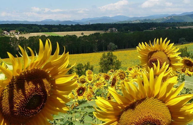 Agriturismo La Topaia - Foto 32