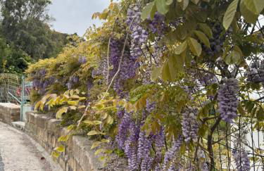 L'orchidea del faro - Foto 38