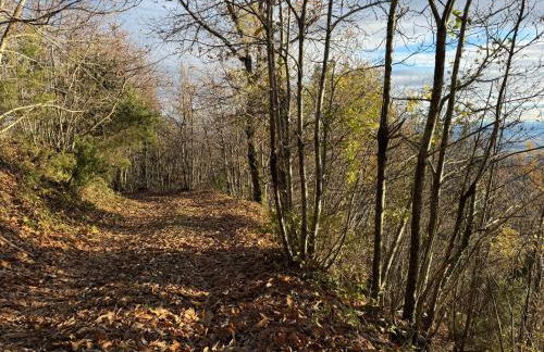 La Nostra Favola - Foto 8