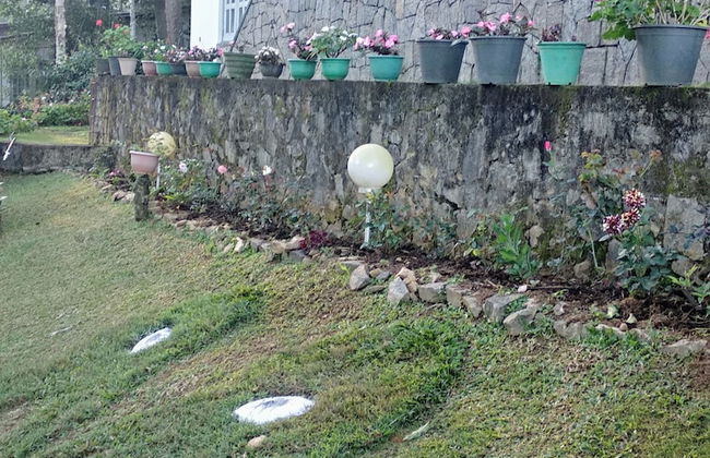 Windsor Forest Bungalow - Photo 26