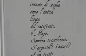 La collina sui trabocchi - Foto 49