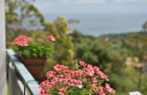 Appartamento Mariolu 2 - Foto 11