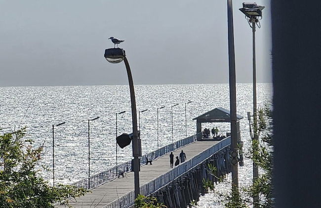 Semaphore Blue Apartments - Foto 79